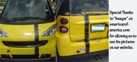 Single offset vinyl racing rally stripe for any Smart car