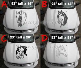 Horse Horses Hood Graphic Decal Decals Truck Farm Foal