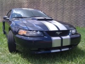 Rally stripe stripes graphics decals fit any model Ford Mustang