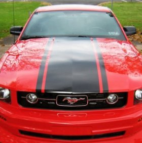22" wide hood rally stripe stripes decal fits ANY Ford Mustang