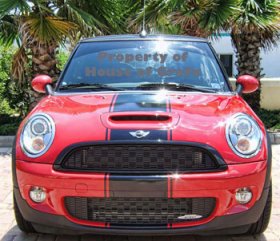 15" center racing stripe graphic fits ANY model Mini Cooper S Clubman Countryman Paceman Coupe Roadster JCW S