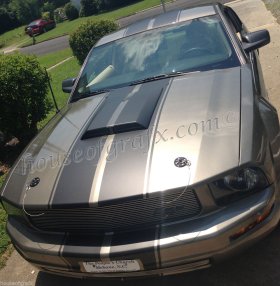 10" Dual Racing rally stripes graphics with pin stripes fits any year or model Ford Mustang GT GT500 Saleen Cobra