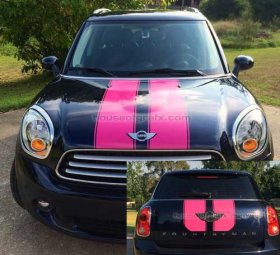Universal Mini Cooper Viper Stripe Stripes Graphics Decals