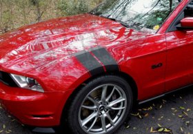 Pair of fender hash hashes stripe stripes vinyl graphic graphics fits any year or model Ford Mustang