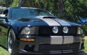 Racing Rally stripe stripes decals Elanor style fit Ford Mustang