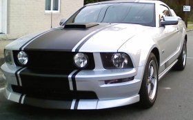 24" Rally Stripes fit ALL YR Mustang Shelby GT500 Cobra Saleen