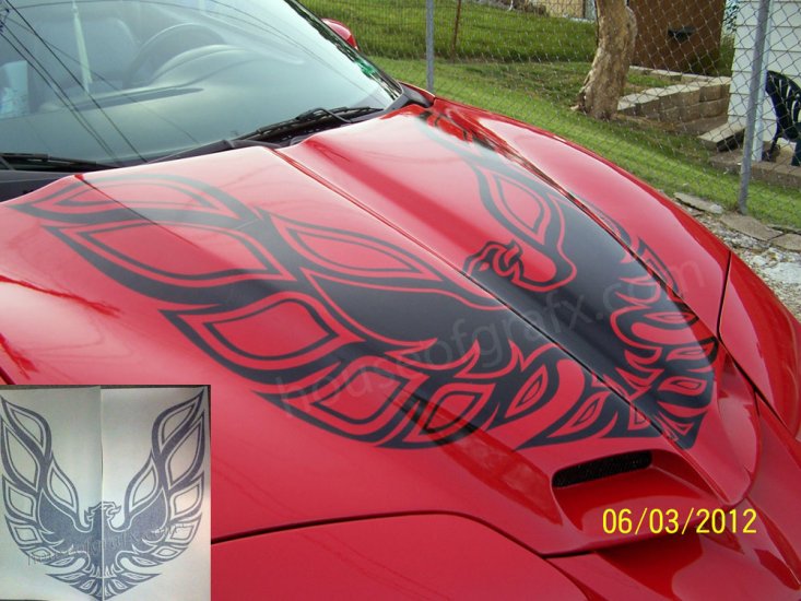 45x45 Phoenix Bird decal graphic fits any Pontiac Firebird Trans Am