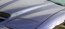 Blackbird hood scoop stripe decals graphics fit Pontiac Firebird
