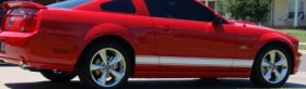 Rocker panel stripes fit any year or model Mustang Cobra GT 5.0