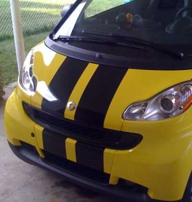 8" vinyl Rally Racing stripes for any Smart Car decal decals