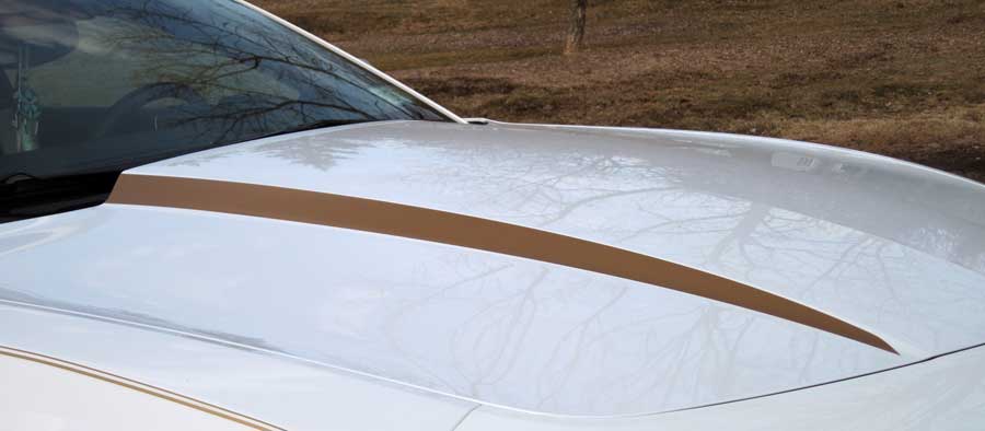 Hood Cowl decal decals stripes spears graphics fits 2010 2011 2012 2013 Chevrolet Camaro