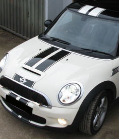 Mini Cooper Viper Racing Rally Stripes 2 color with pin stripes