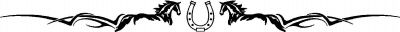 Horses with dust trail & horse shoe windshield banner decal