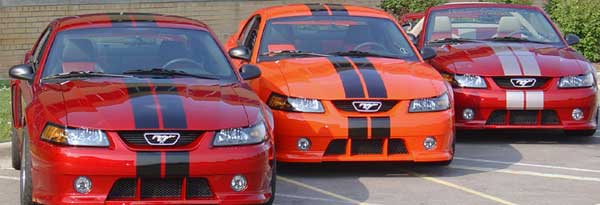 5" wide vinyl Racing Rally stripe stripes decals fit ANY MUSTANG