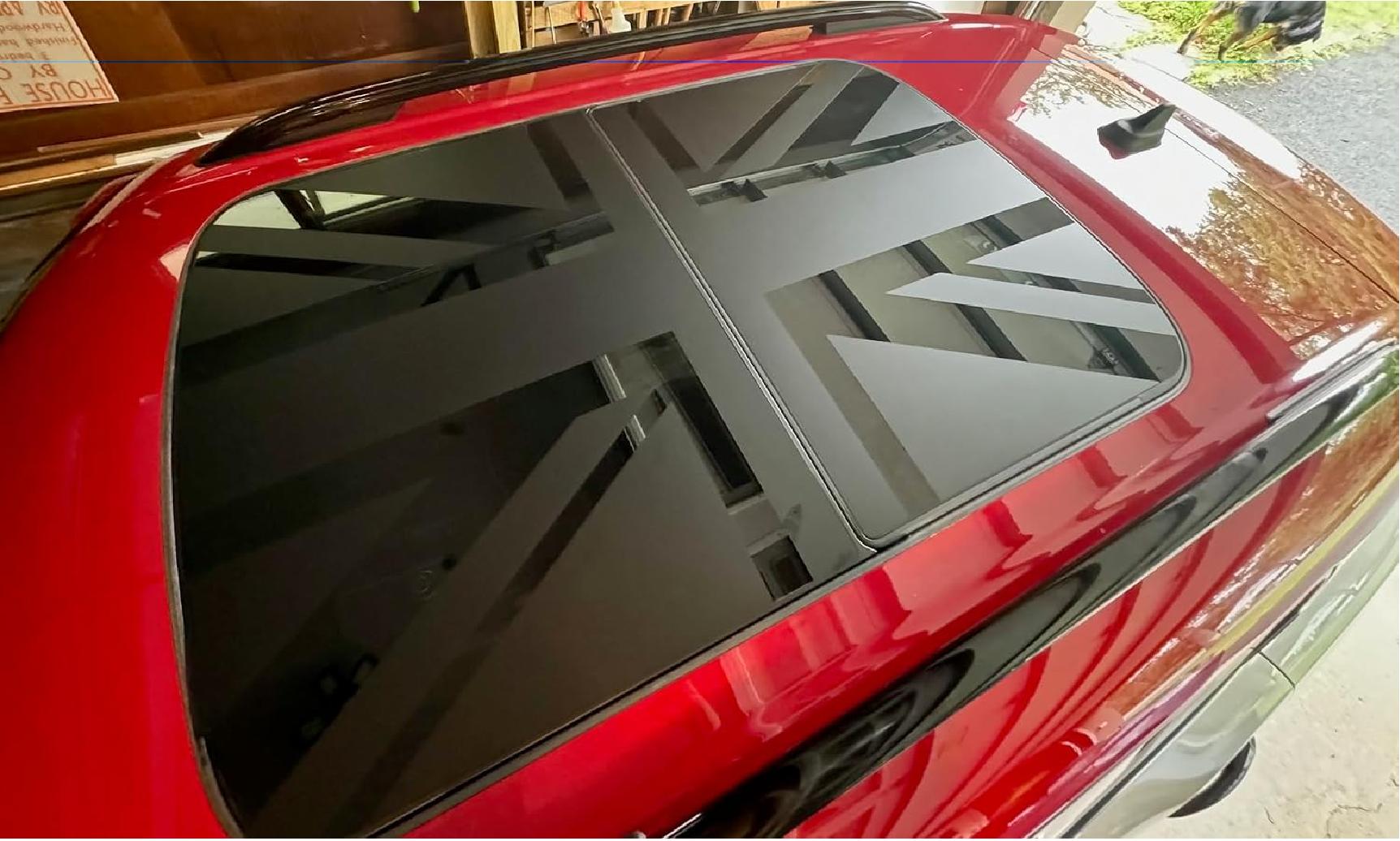 Pair of pre cut lower door rocker stripe stripes fit any 2017 2018 2019 2020 2021 2022 Mini Cooper Countryman F60 ALL4