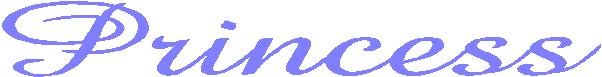 Princess windshield banner vinyl decal sticker