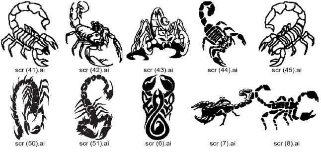 Scorpion Scorpions decal decals graphics stickers ANY VEHICLE 4