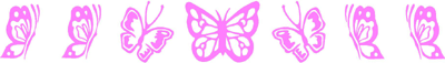 Custom designed butterfly windshield banner decal