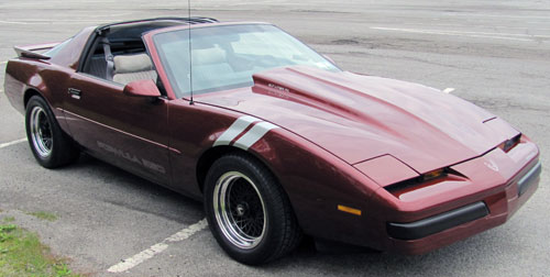8" Thick Fender Hash Stripe Stripes decals fit any model Pontiac Firebird or Chevrolet Camaro