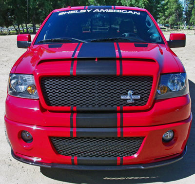 18" Racing Rally Super snake stripes decals fits any Ford Truck