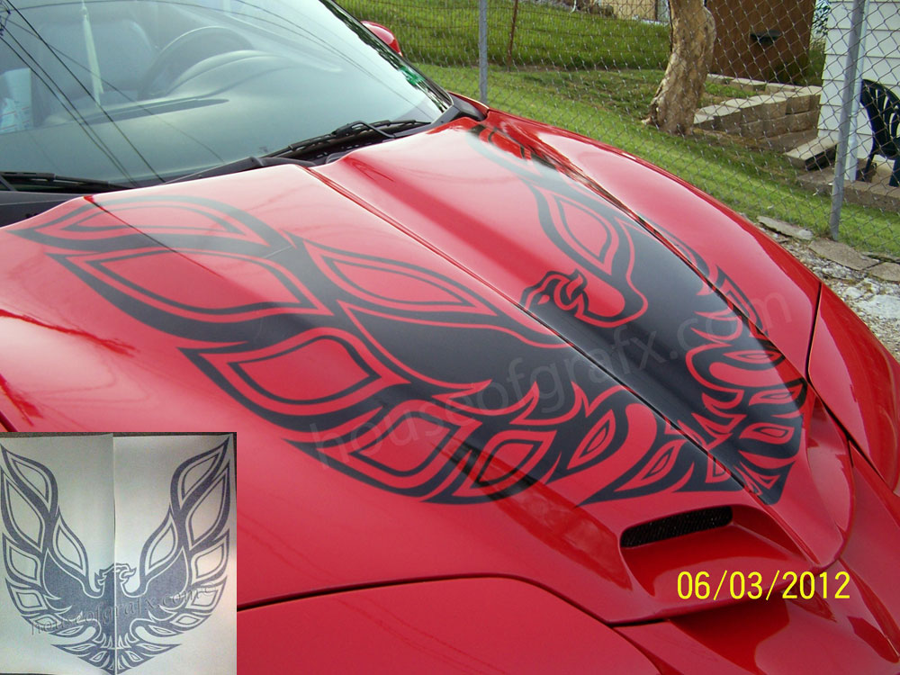 HUGE 45x45 Bird decal graphic fits any Pontiac Firebird Trans Am - Click Image to Close