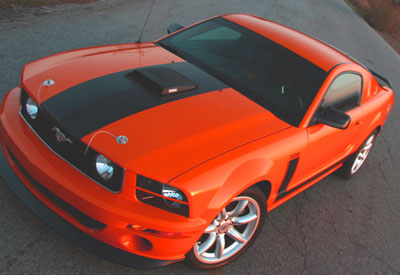 Ford Mustang 16.5" hood vinyl Racing Rally stripe decals decal