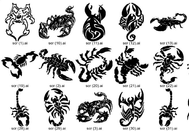 Scorpion Scorpions decal decals graphics stickers ANY VEHICLE 2