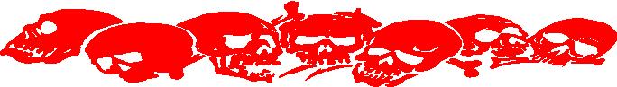 Skull skulls windshiled banner decal decals grapihcs graphic